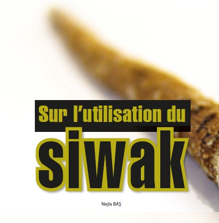 L'utilisation du bâton de Miswak (ou Siwak) pour se Brosser les Dents